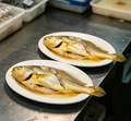 Yellow Croaker